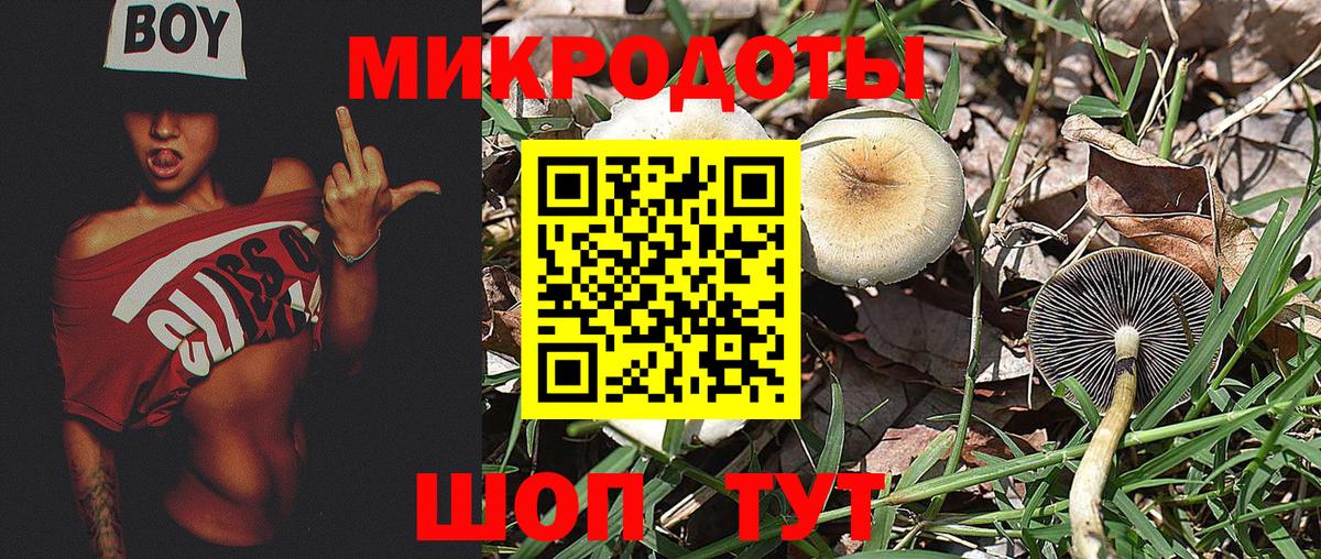 Псилоцибиновые грибы мицелий Куйбышев