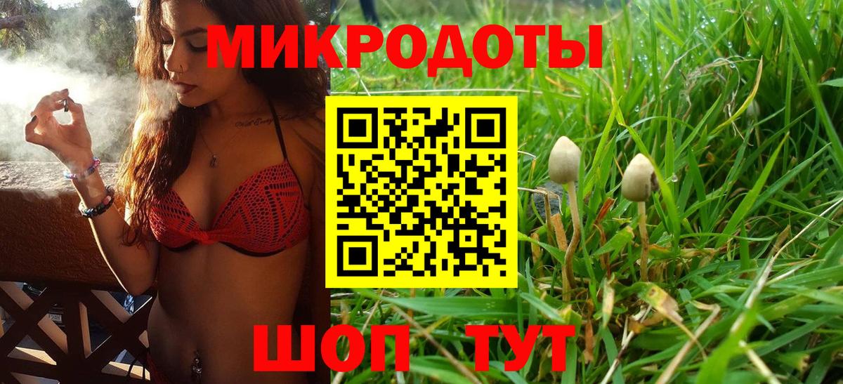 купить  цена  Галлюциногенные грибы Magic Shrooms  Вход с VPN  Куйбышев 